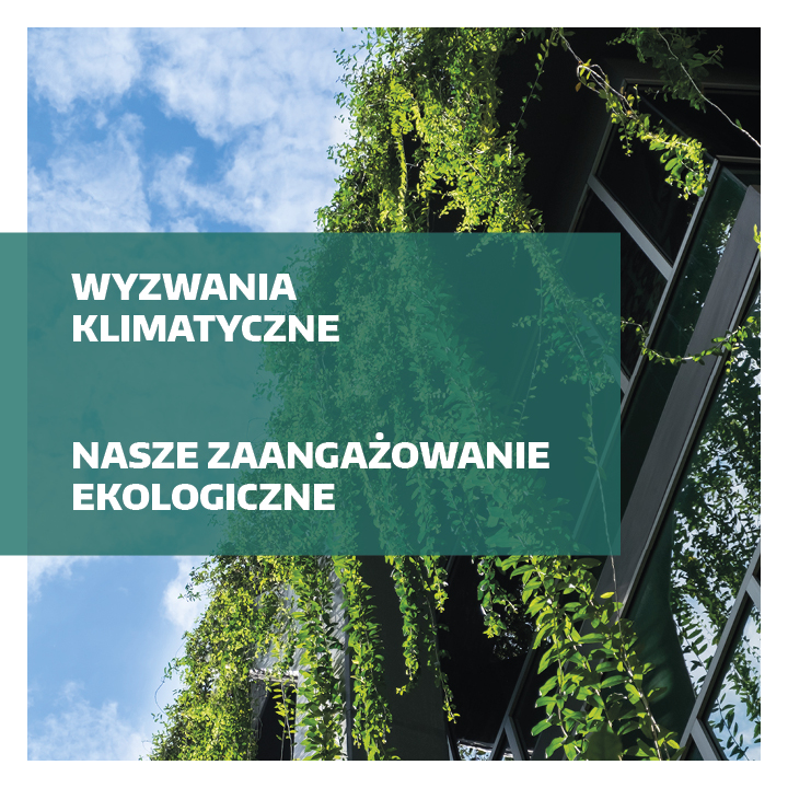 Środowiskowy
