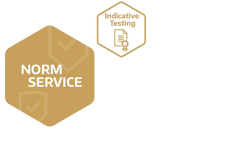 Norm Service