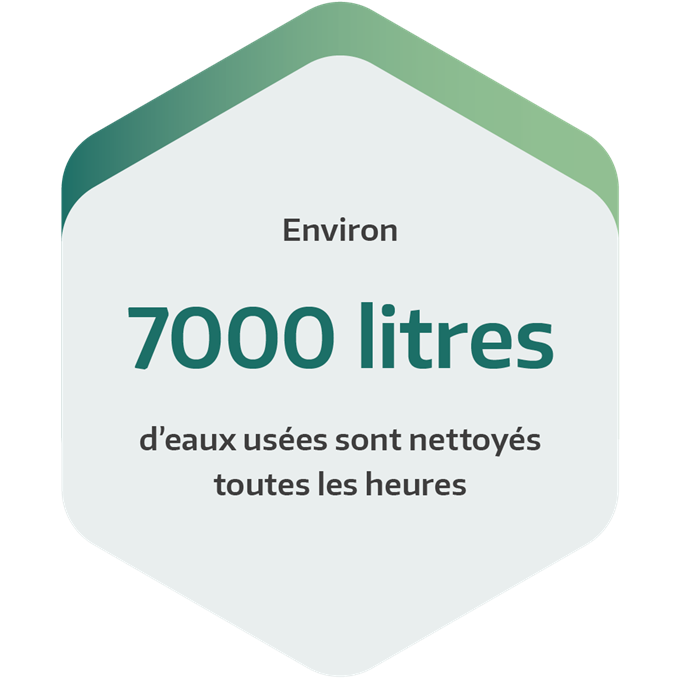 Échangeurs d'ions & boues de filtration