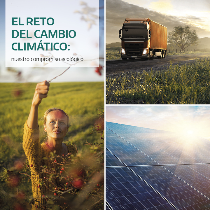 Medio ambiente